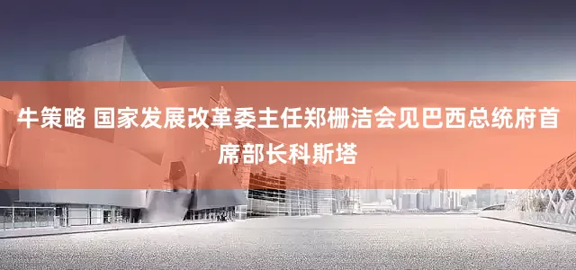 牛策略 国家发展改革委主任郑栅洁会见巴西总统府首席部长科斯塔