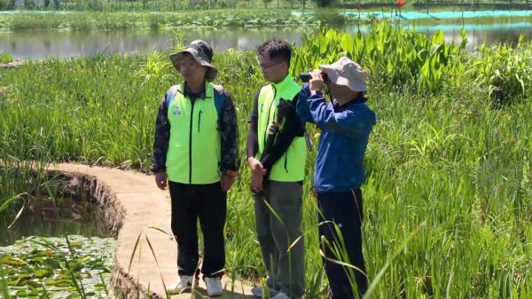 金砖财富 新华视点丨守护鸟类家园&#32;共绘生态蓝图