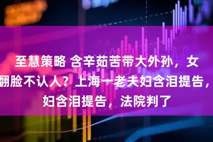至慧策略 含辛茹苦带大外孙，女婿再婚后翻脸不认人？上海一老夫妇含泪提告，法院判了