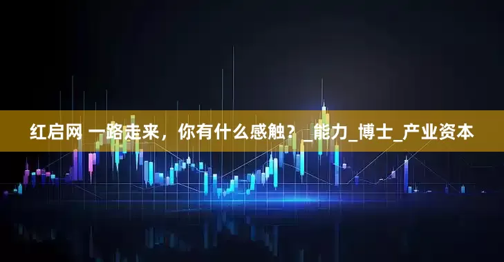 红启网 一路走来，你有什么感触？_能力_博士_产业资本