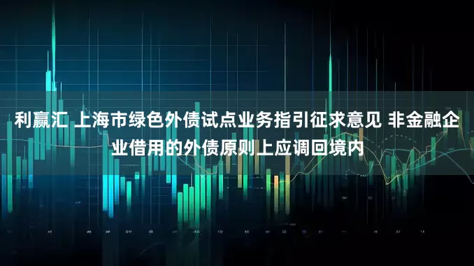 利赢汇 上海市绿色外债试点业务指引征求意见 非金融企业借用的外债原则上应调回境内